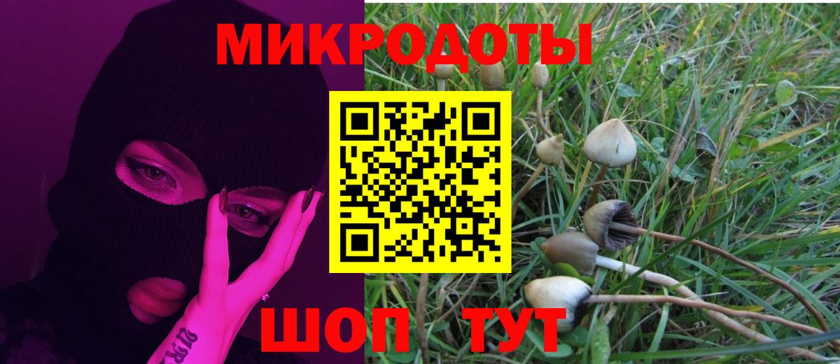 Керчь  Псилоцибиновые грибы мицелий  Вход с VPN  как найти закладки  Псилоцибиновые грибы GOLDEN TEACHER 